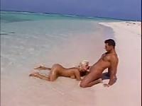 Another Fucking Movie