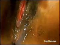 The Wettest Pussy on Earth Approved in CLOSEUP