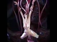 Crazy sci-fi 3d sex animation