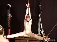 Sexy slave training for two sweet subs