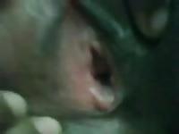 Mature indian pussy spread wide