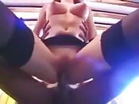 Porcelle laide si gustano un'ammucchiata